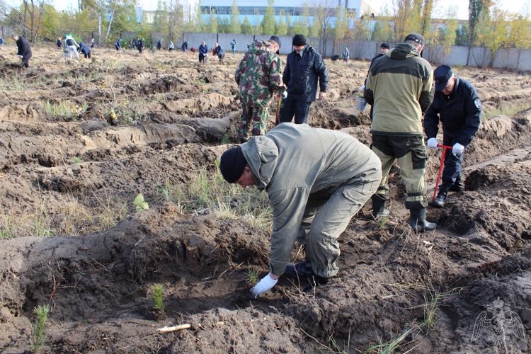 В Липецке росгвардейцы присоединились к  всероссийской акции «Живи, Лес!»