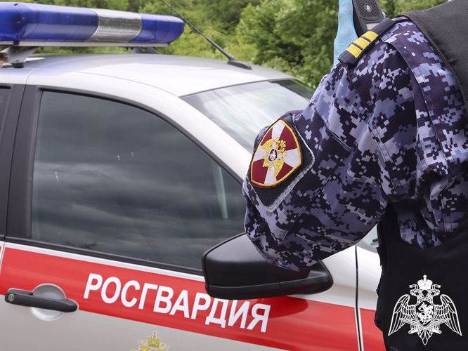 Сотрудники Росгвардии нашли ребёнка, пропавшего в Липецкой области