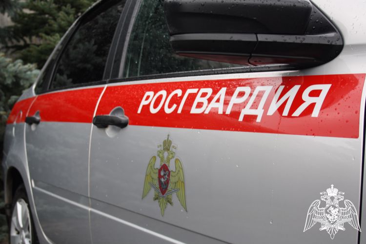 Росгвардейцы в Липецке проводят профилактические рейдовые  мероприятия по контролю за оборотом оружия. 