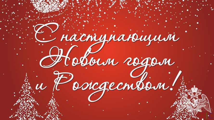 Начальник Управления Росгвардии по Липецкой области поздравил личный состав и ветеранов с новогодними праздниками