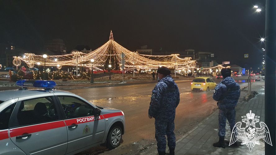 Росгвардейцами в Липецкой области обеспечена охрана общественного порядка в  Новогоднюю ночь 