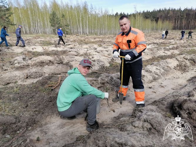 В Липецке росгвардейцы приняли участие в патриотической акции «Сад Памяти»