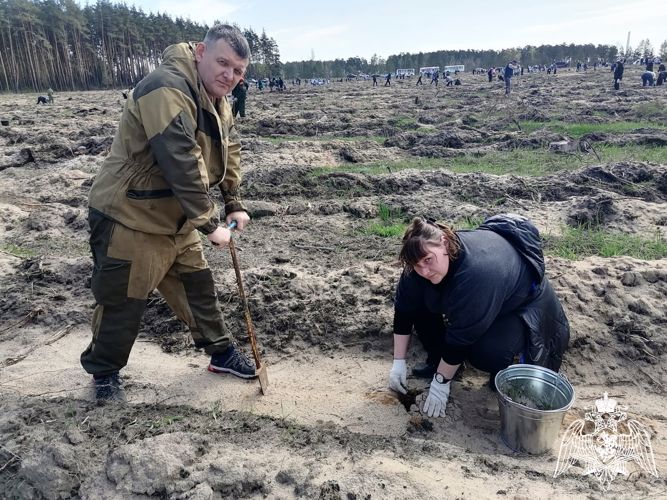 В Липецке росгвардейцы приняли участие в патриотической акции «Сад Памяти»