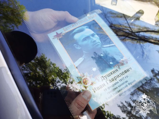 В Липецке росгвардейцы присоединились к акции «Бессмертный автополк» (видео)