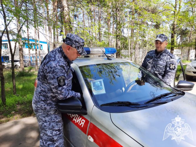В Липецке росгвардейцы присоединились к акции «Бессмертный автополк» (видео)
