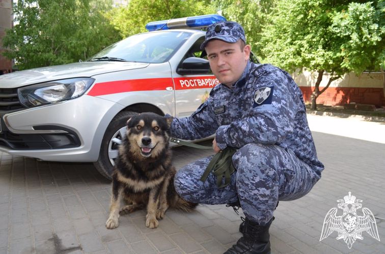 В ЛИПЕЦКЕ ПАТРУЛЬ РОСГВАРДИИ СПАС ПРОВАЛИВШУЮСЯ В КАНАЛИЗАЦИОННЫЙ ЛЮК СОБАКУ (видео)