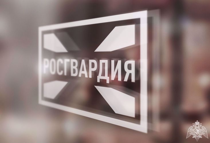 Росгвардейцы в Липецкой области свыше 380 раз выезжали с начала месяца по сигналу «Тревога» 