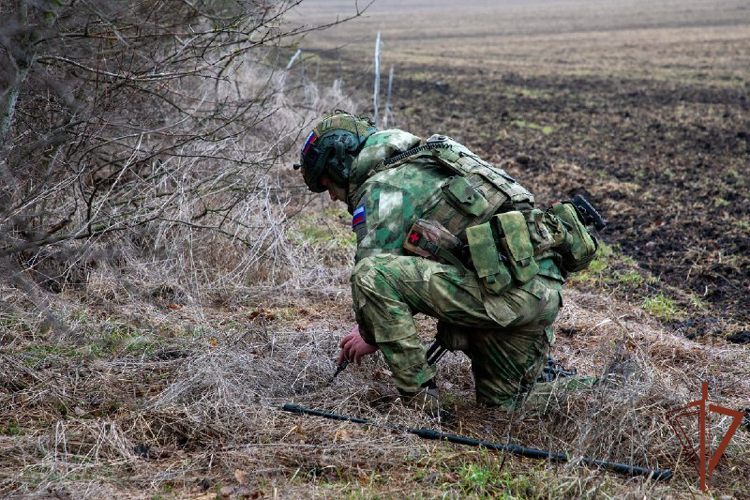 Сапёры Росгвардии обнаружили схрон с боеприпасами у гаражей сельхозтехники в ДНР
