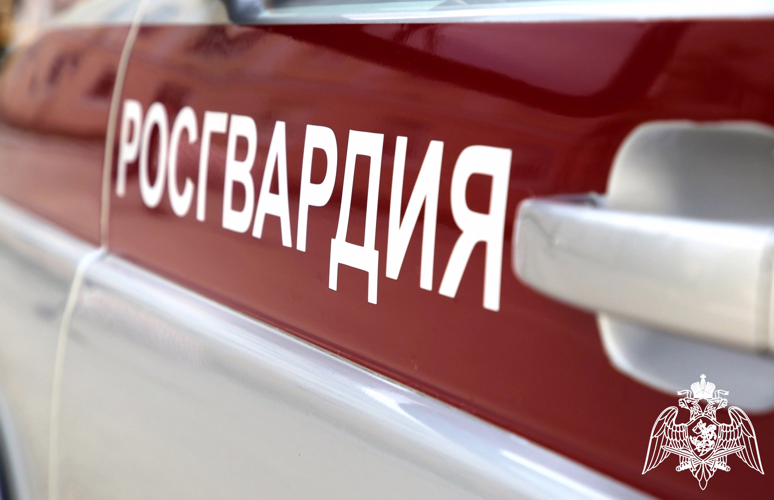 Росгвардия обеспечила безопасность проведения «Дня Сокола» в Липецке