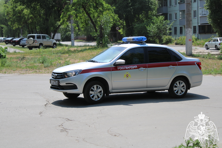 За прошедшую неделю в Липецке росгвардейцы задержали 10 правонарушителей