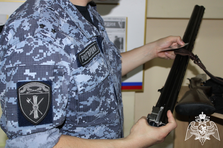 За месяц липчане добровольно сдали 57 единиц оружия
