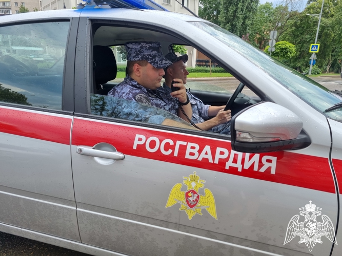 В Липецке завершилась онлайн-акция «Связь поколений» ко Дню вневедомственной охраны Росгвардии