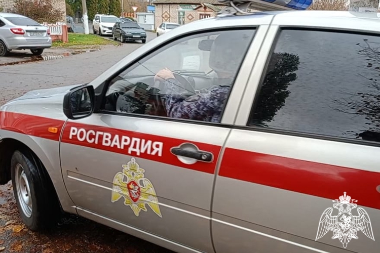 Росгвардейцы задержали подозреваемого в порче имущества в Ельце