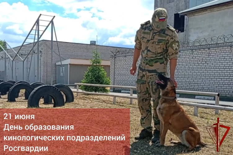 В Липецке кинолог ОМОН «Легион» рассказал, как обучить собаку простым командам в домашних условиях (ВИДЕО)