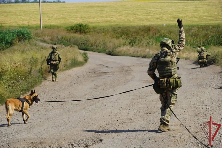 В День фронтовой собаки кинолог Росгвардии рассказал об особенностях выполнения задач СВО в ДНР