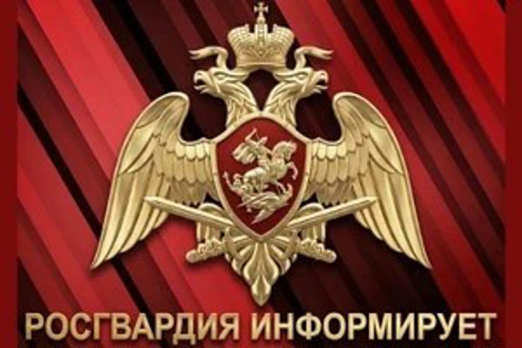 В Управлении вневедомственной охраны Росгвардии по Липецкой области пройдёт тематическая «Горячая линия»