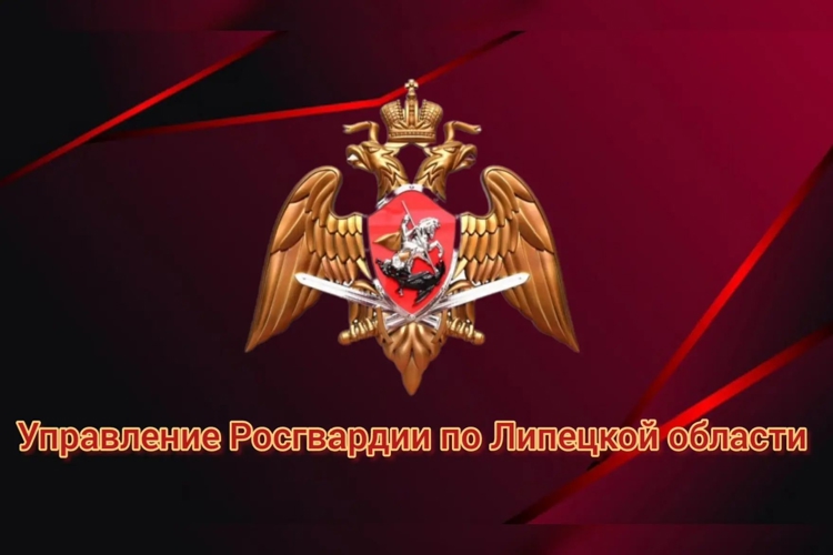 Жители Липецкой области добровольно сдали 27 единиц оружия за месяц