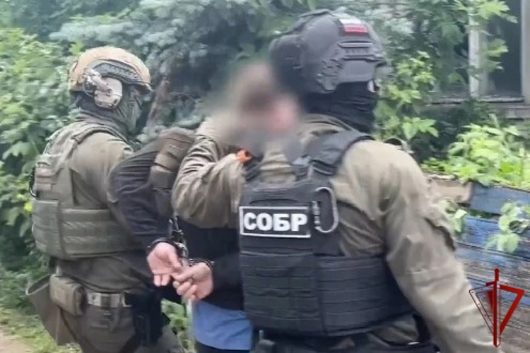 В Липецке при участии спецподразделений Росгвардии правоохранители пресекли деятельность организованной группы торговцев оружием